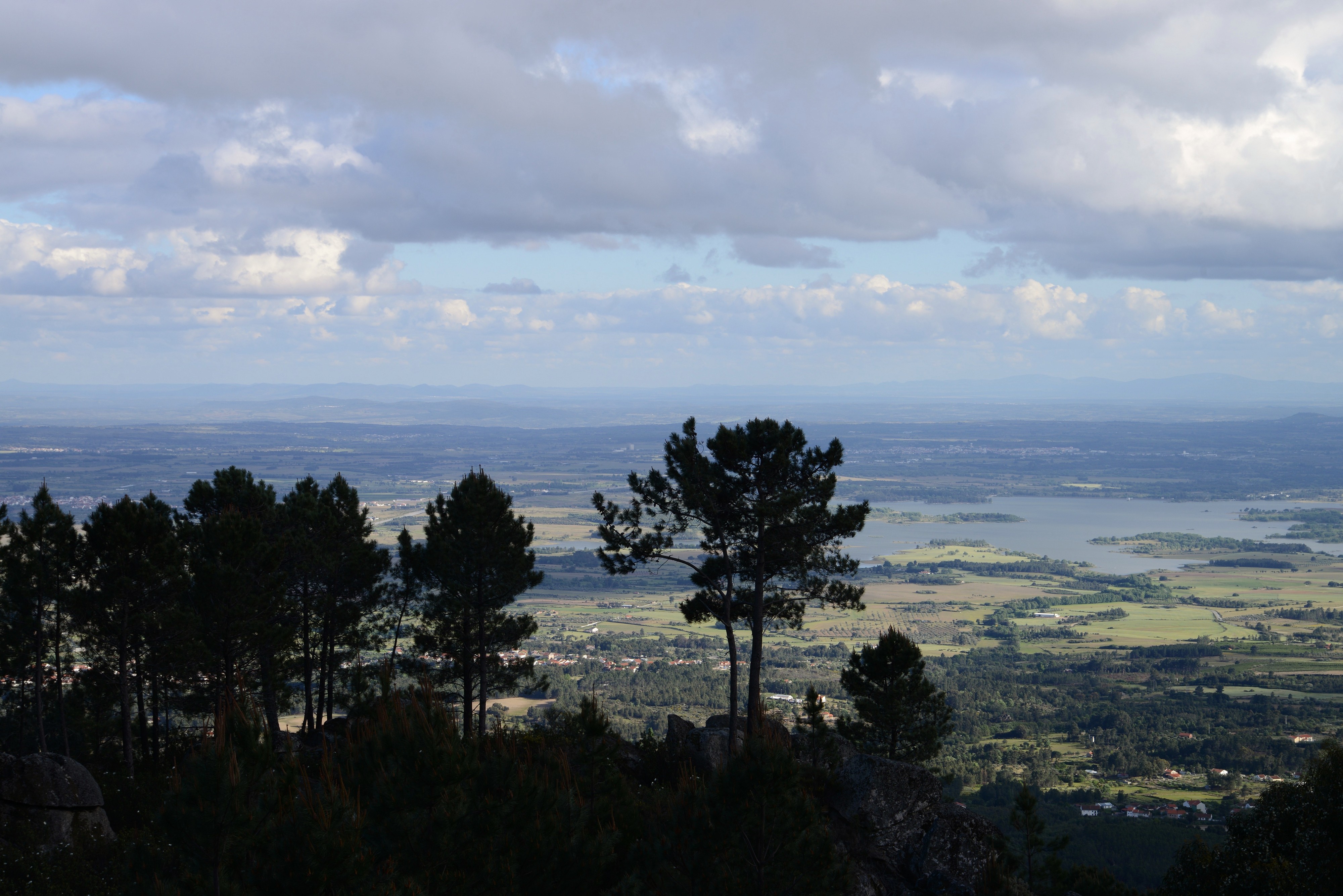 Serra Gardunha April 2015-1