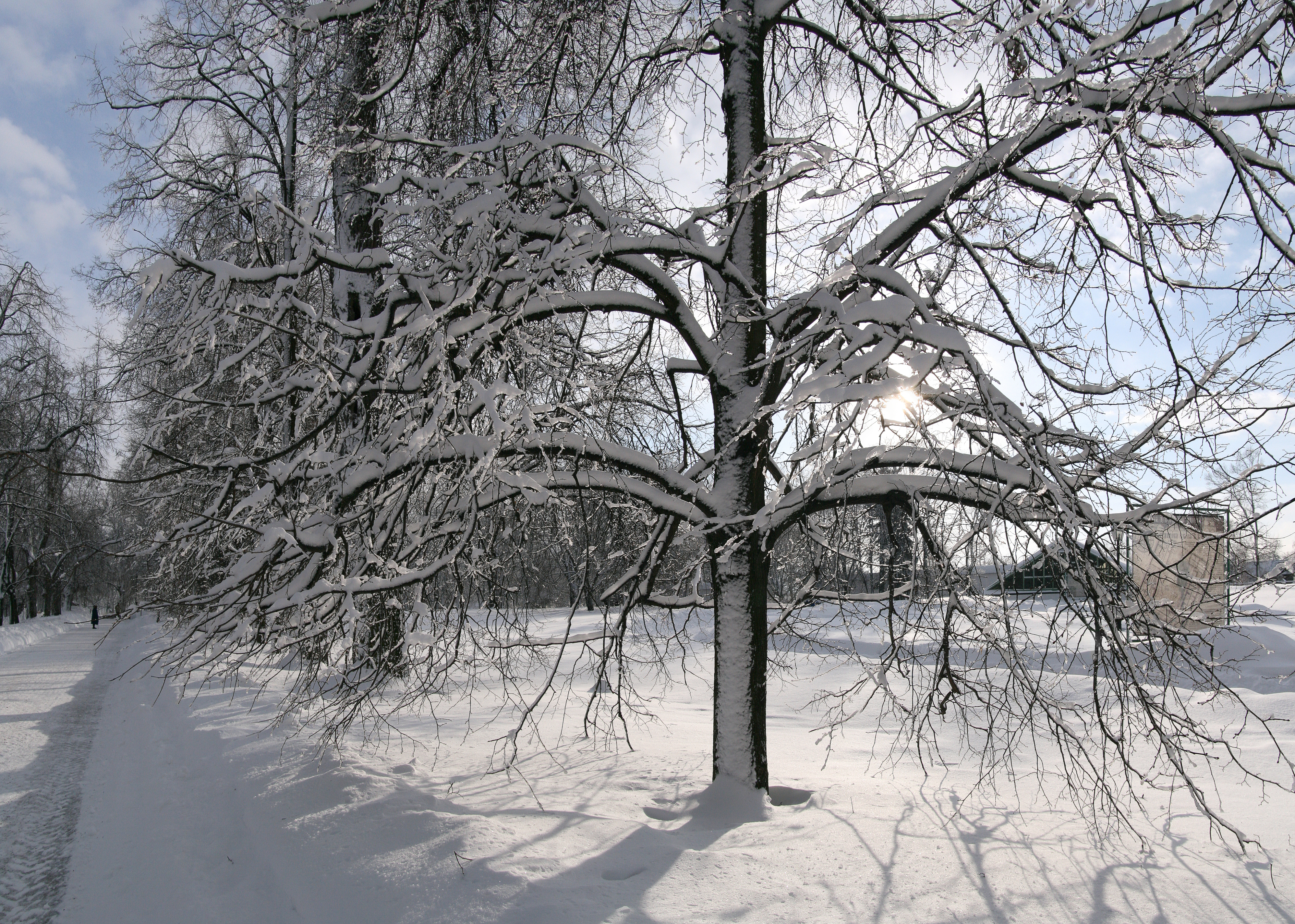 Kolomenskoe LimeAvenue KE
