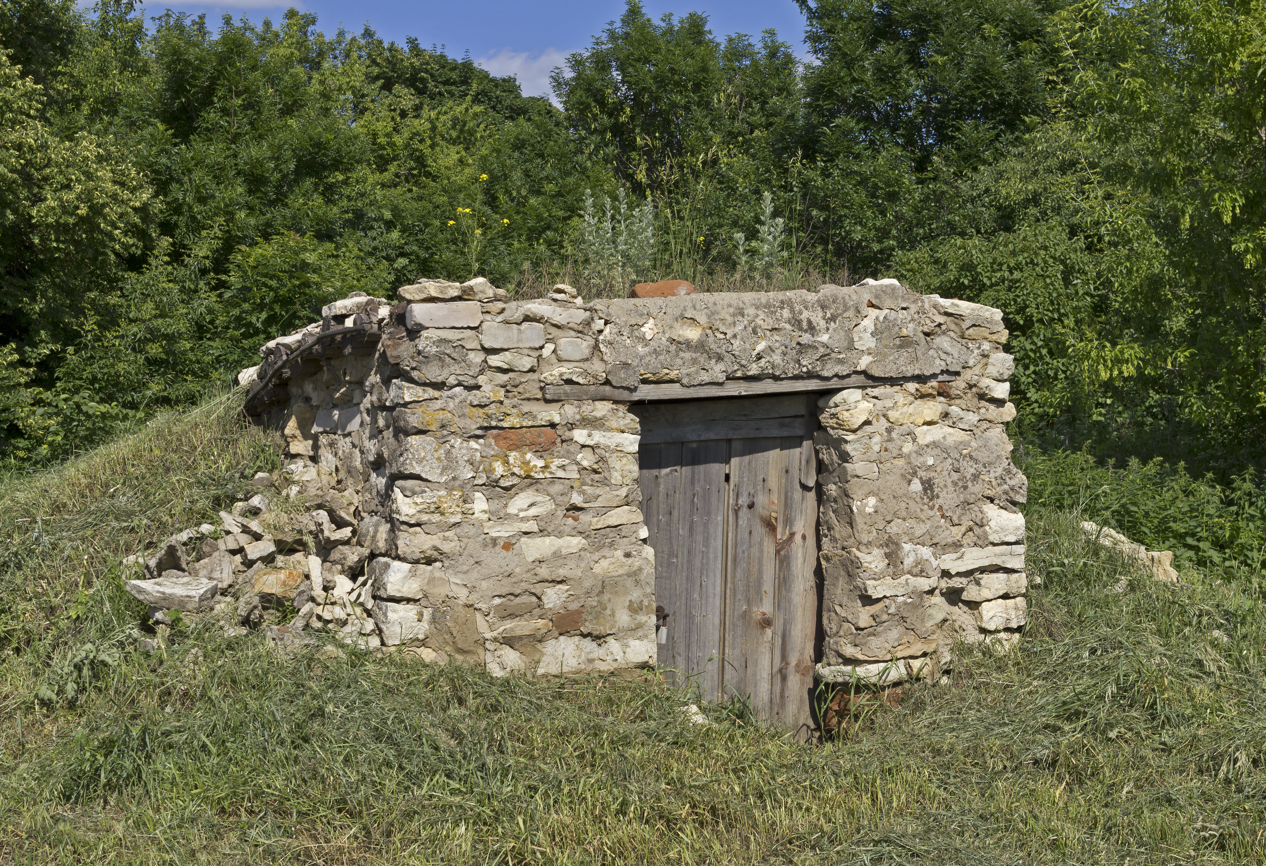 LipetskOblast Yagodnoe 10