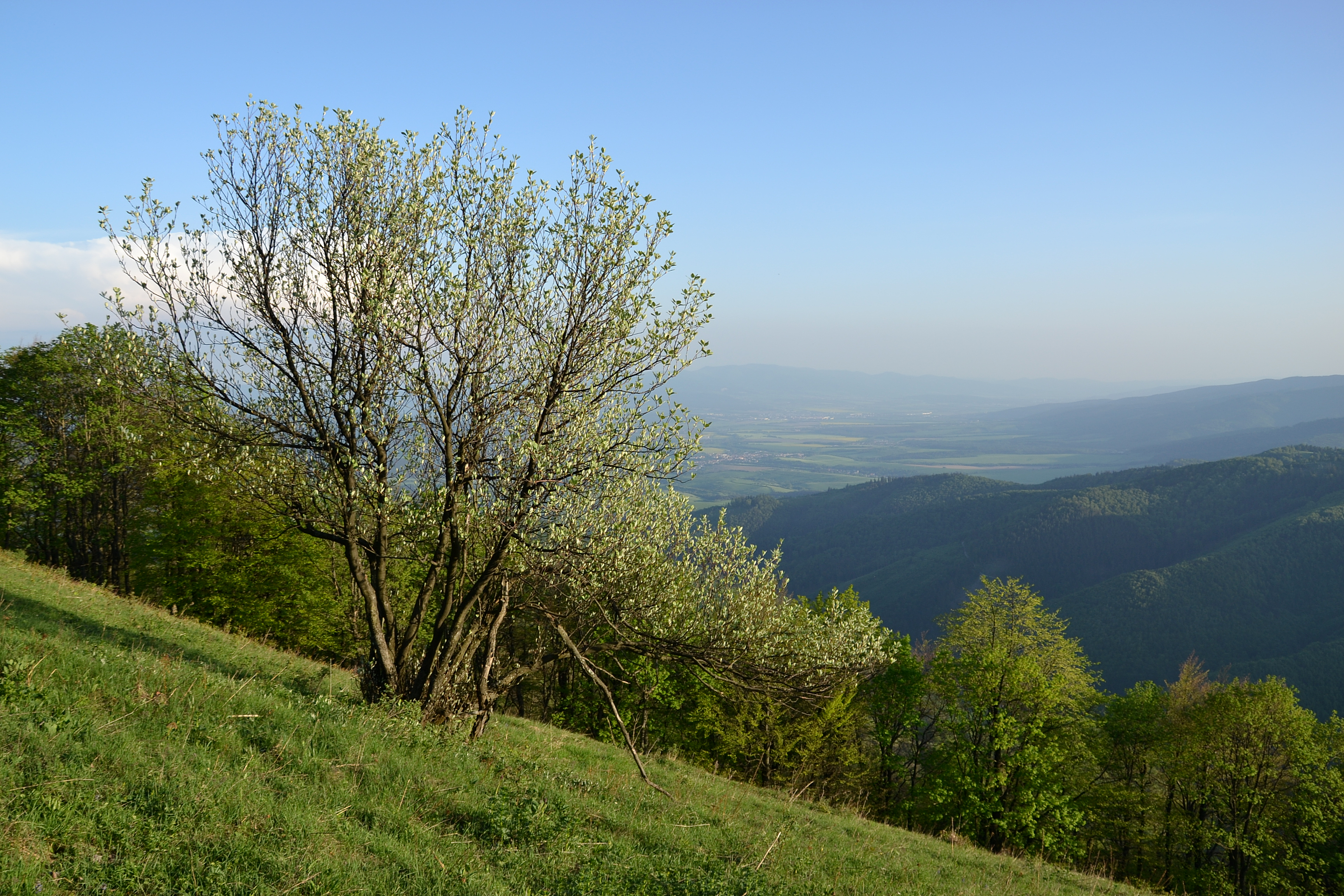 Malá Fatra - view from Reváň