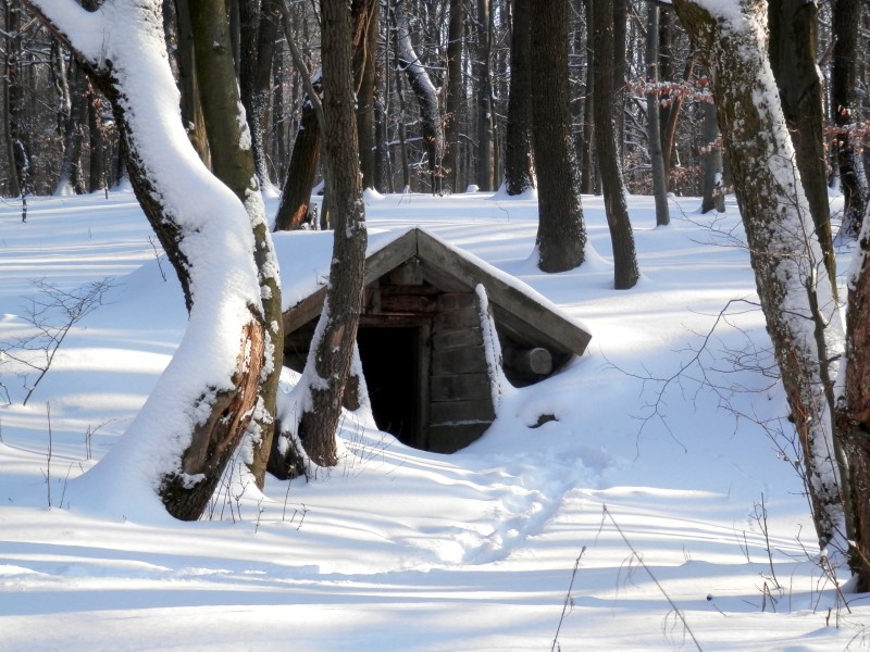 Snow14Slovakia6