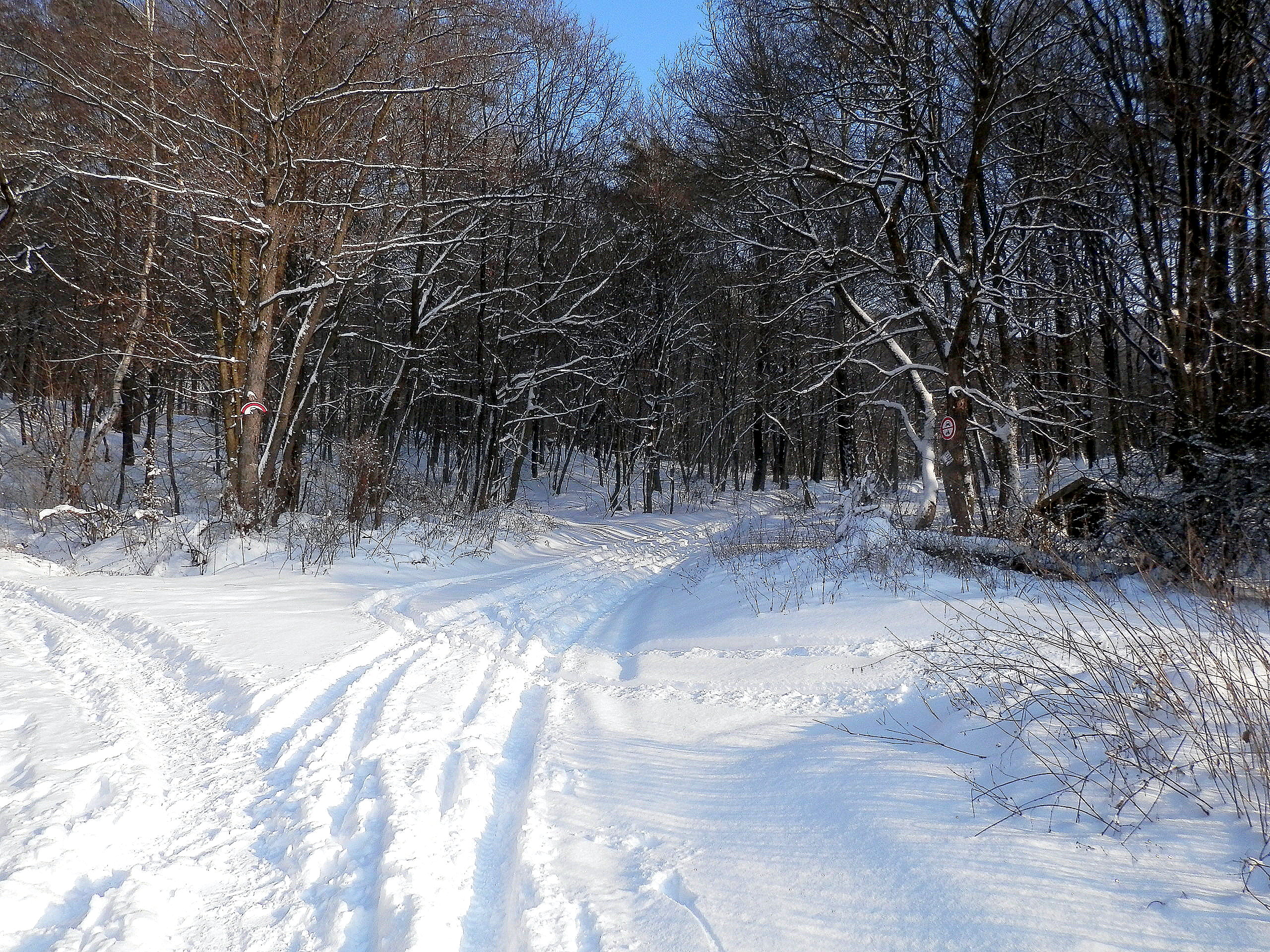 Snow14Slovakia