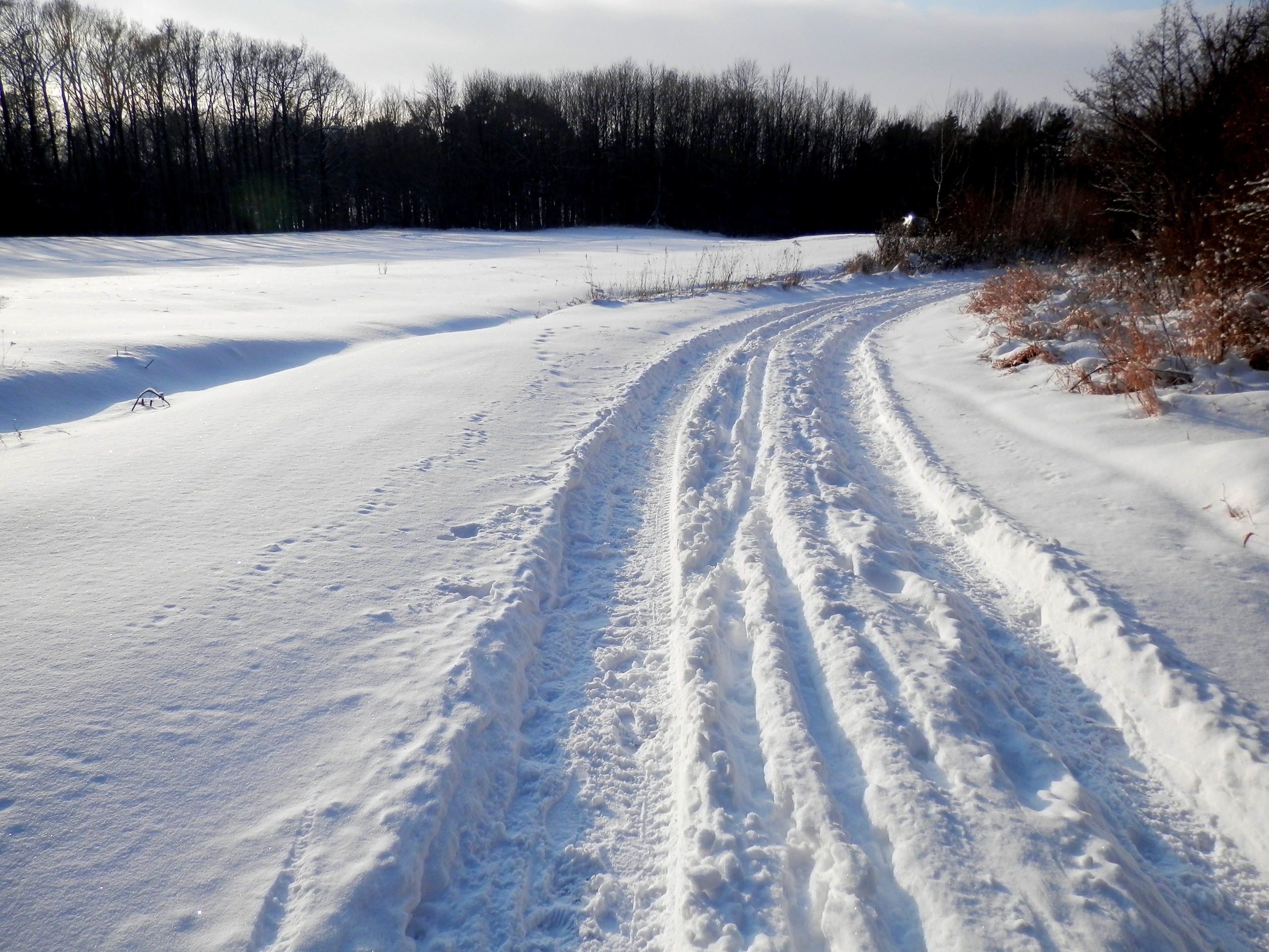 Snow14Slovakia2