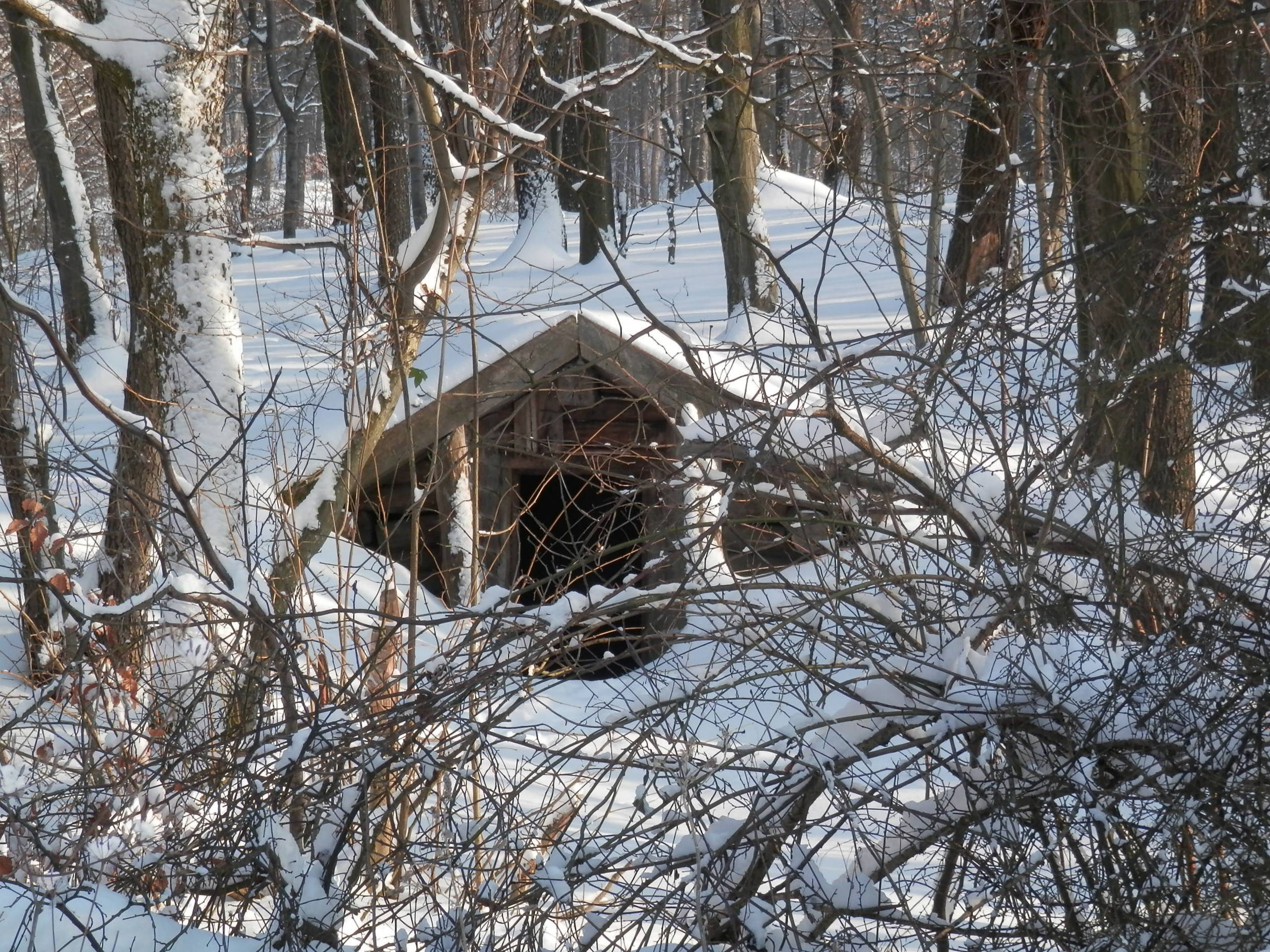 Snow14Slovakia3