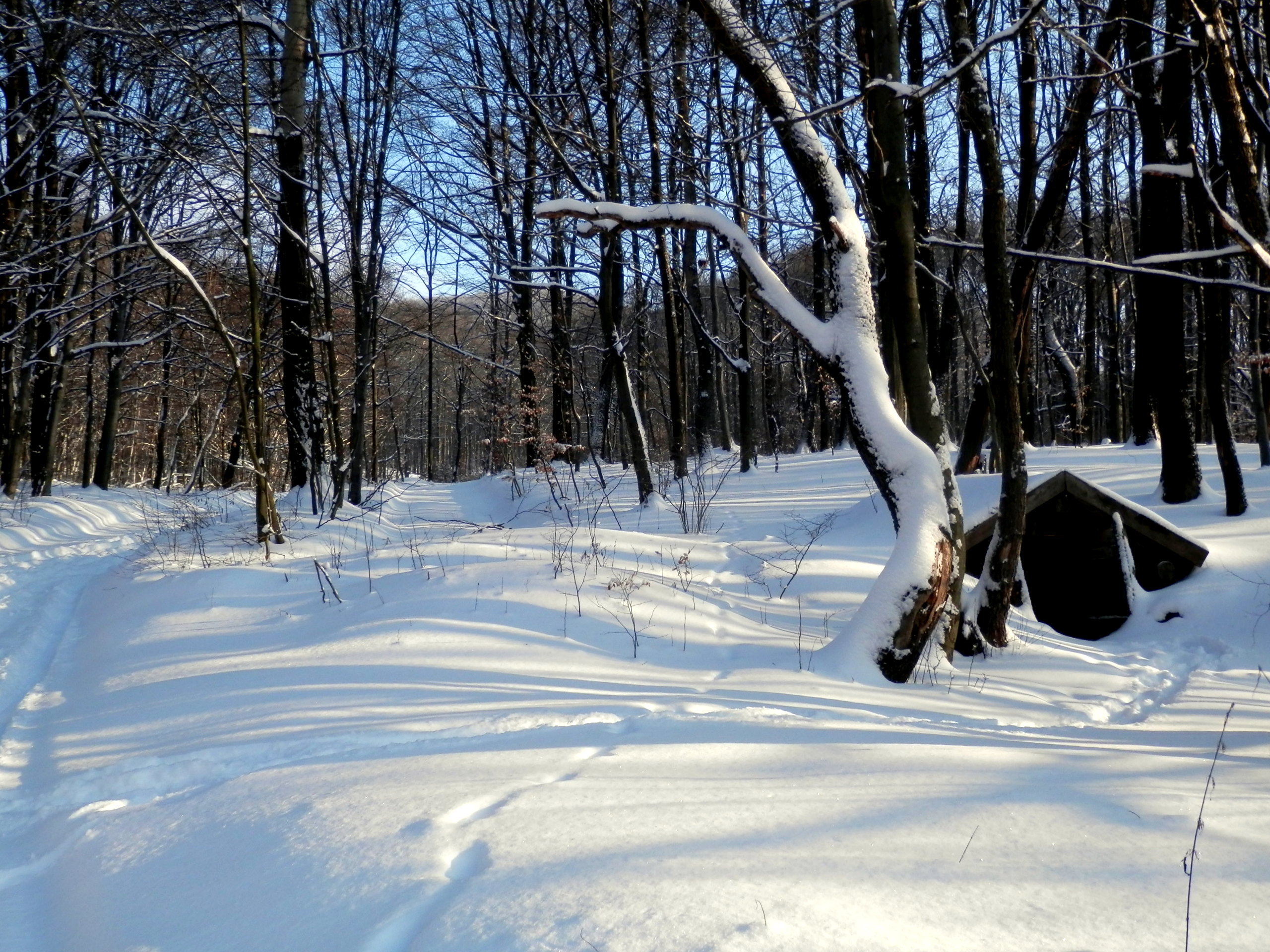 Snow14Slovakia5