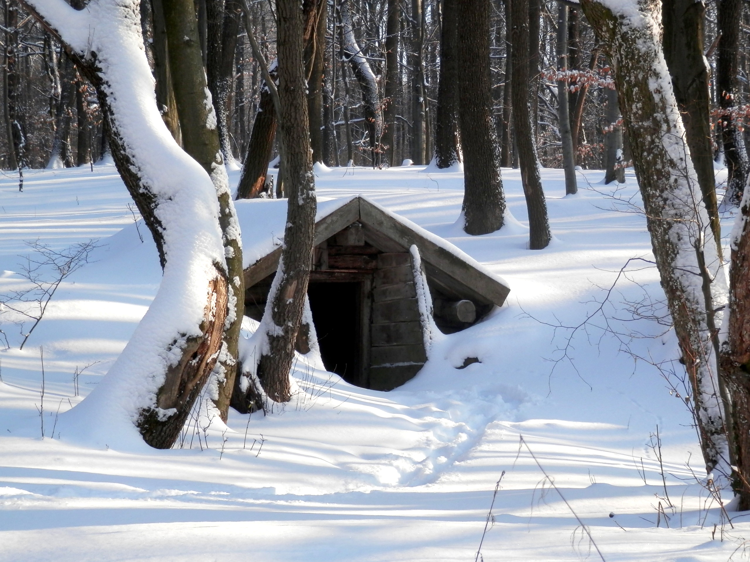 Snow14Slovakia6
