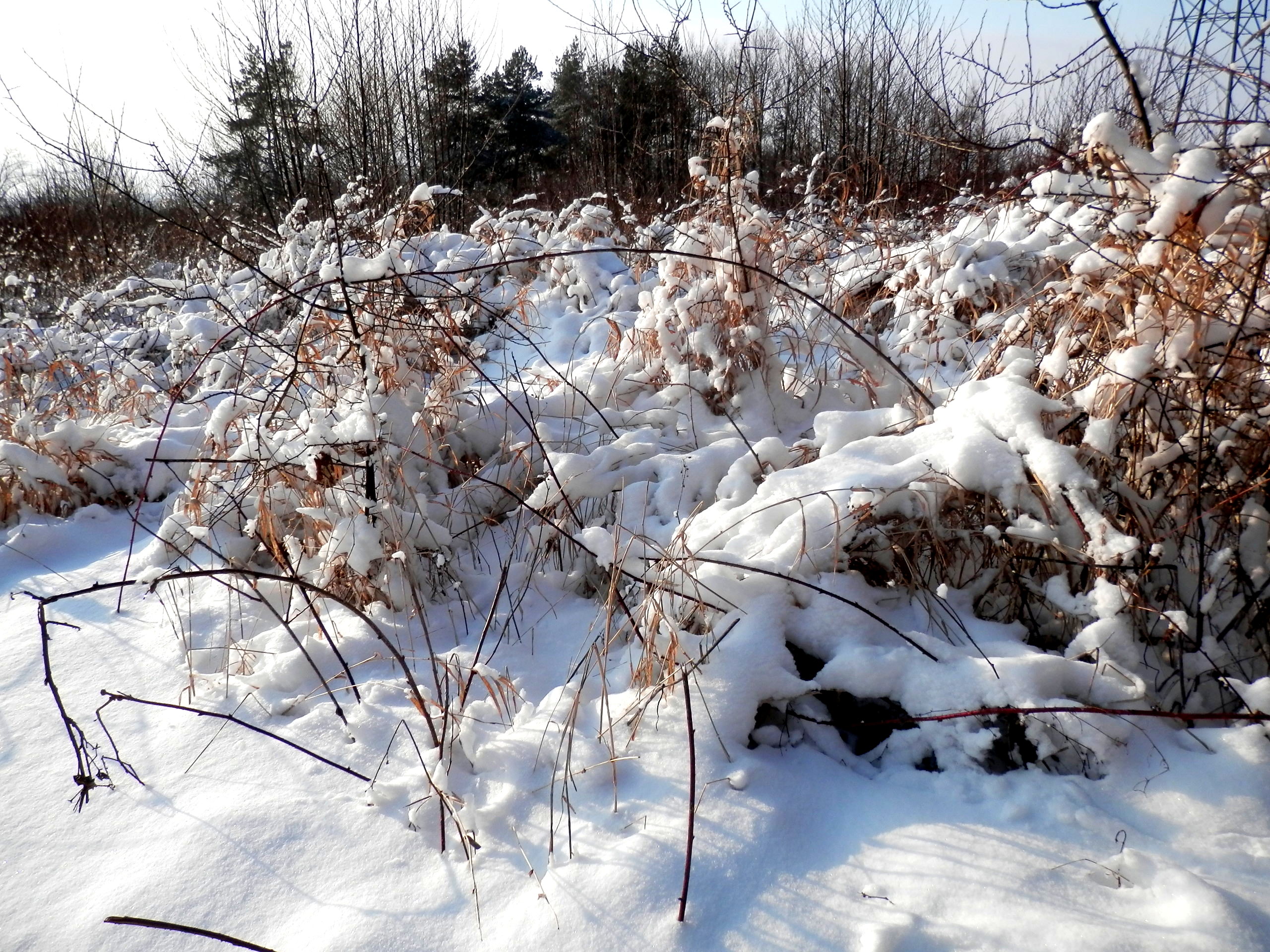 Snow14Slovakia8
