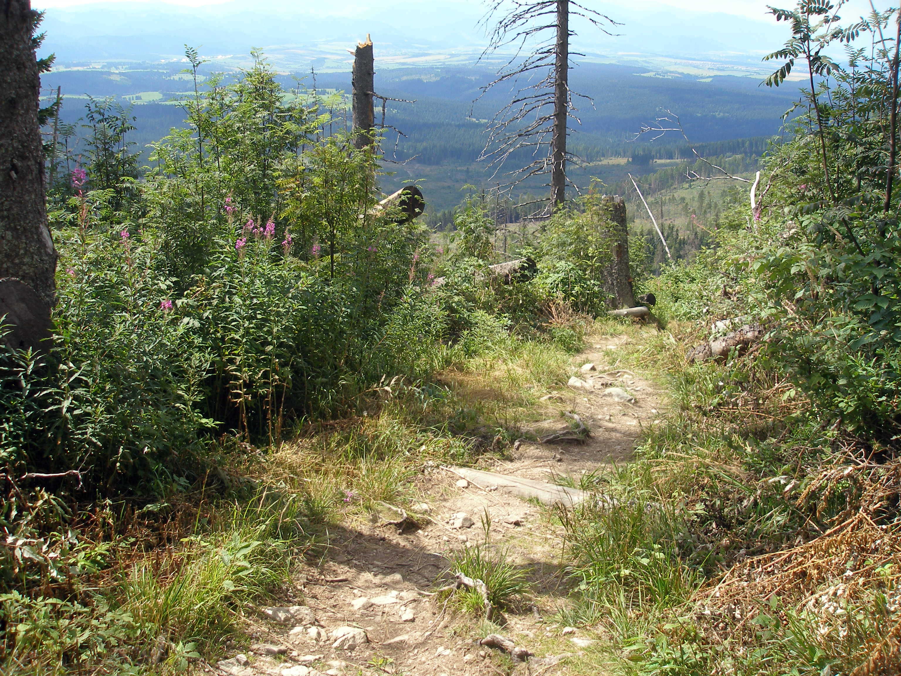 TriStudnicky10Slovakia105