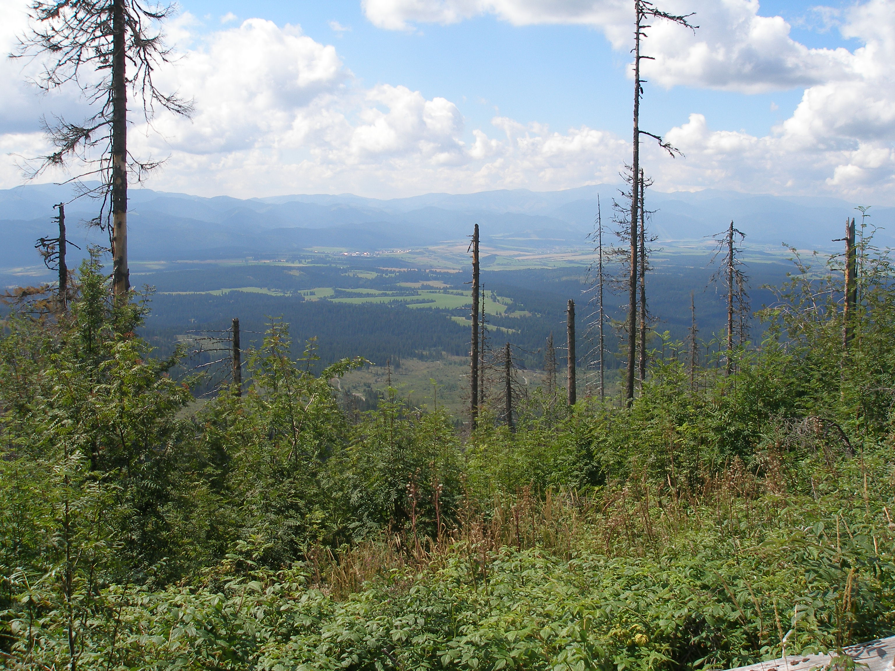 TriStudnicky10Slovakia60