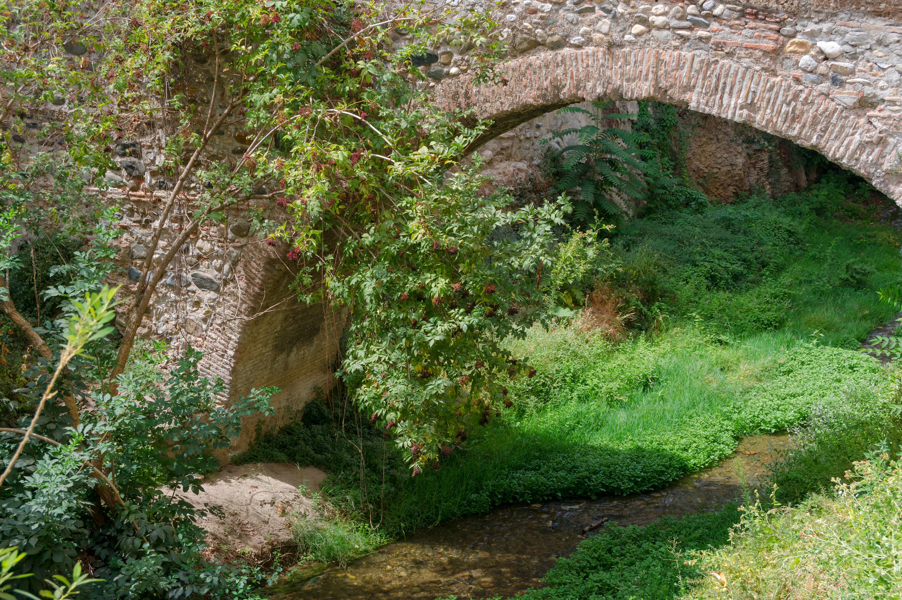 Arch bridge rio Darro Granada Spain