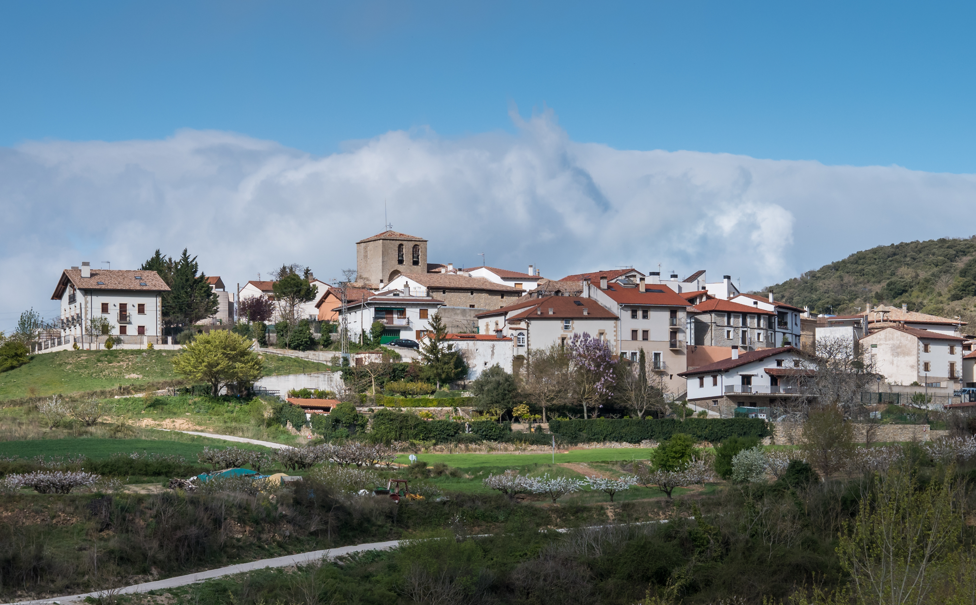 Belascoaín 01
