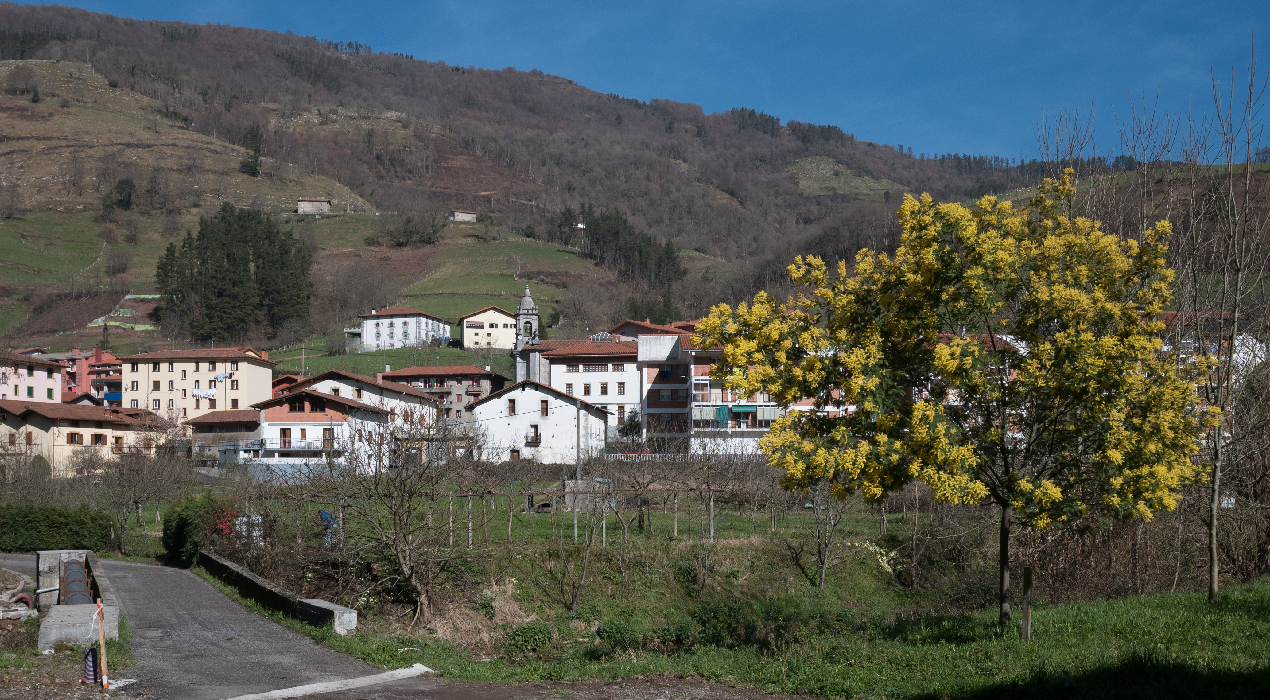 Berrobi 01