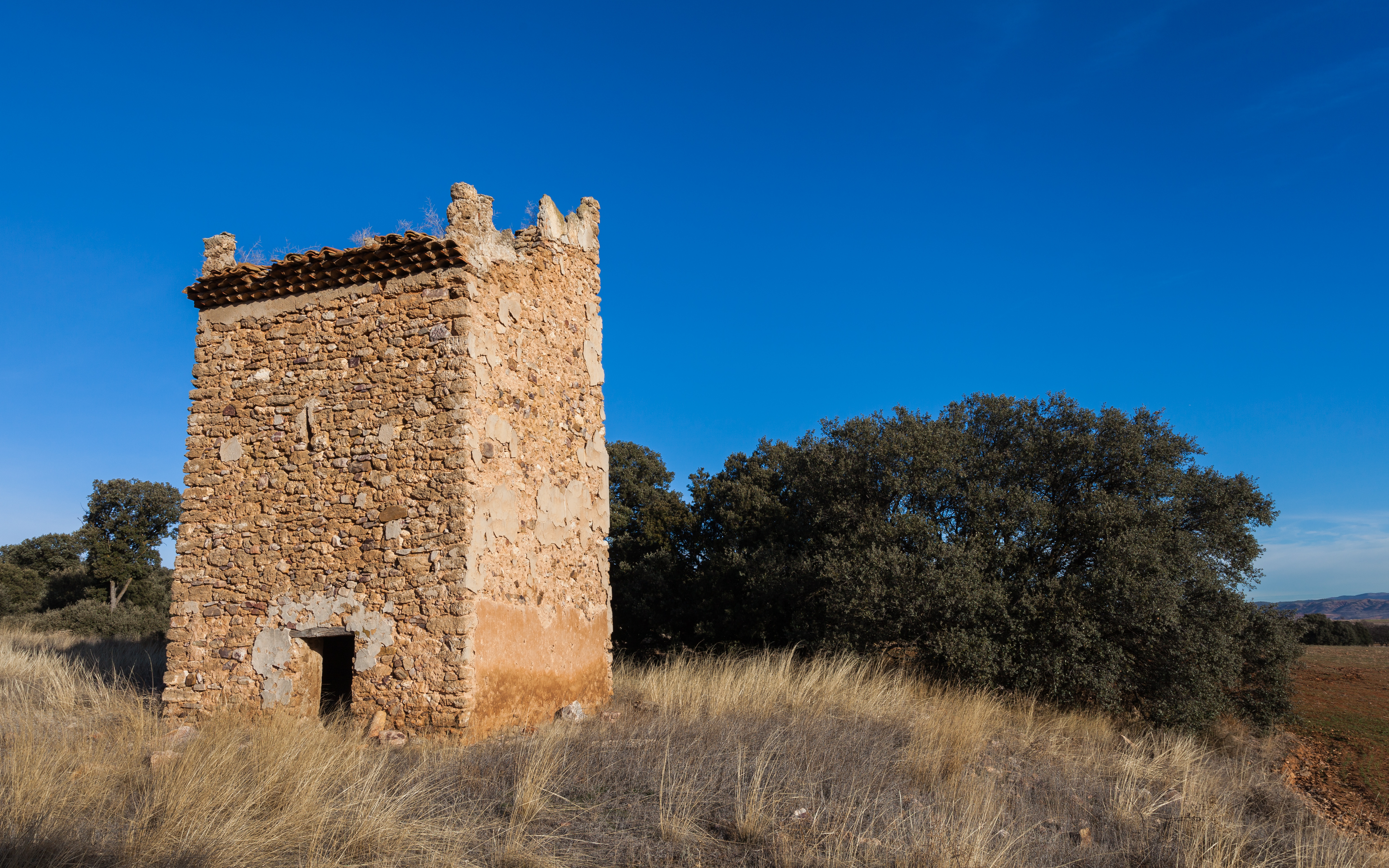 El Poyo del Cid, Teruel, España, 2014-01-08, DD 04