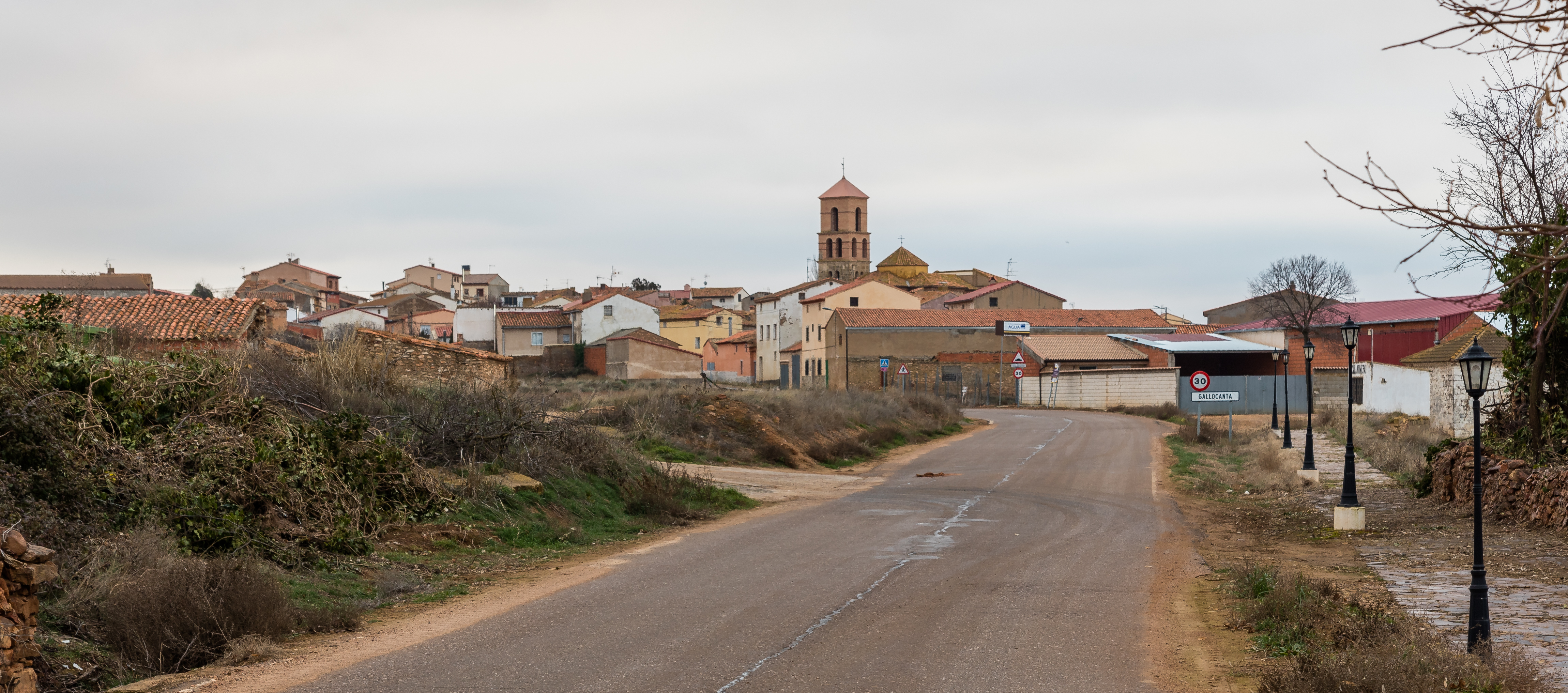 Gallocanta, Zaragoza, España, 2017-01-04, DD 10