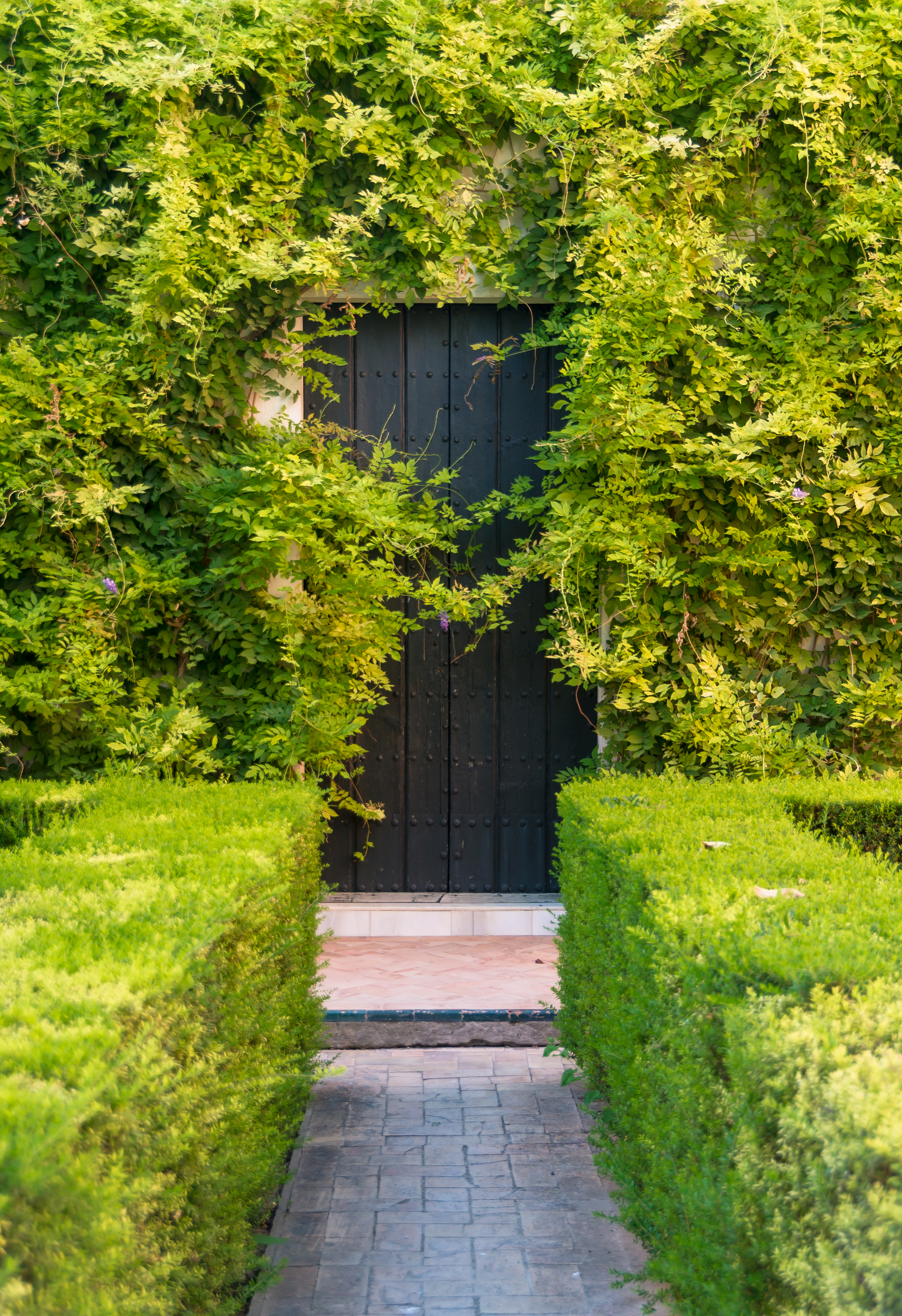Green door alcazar Seville Andalusia Spain