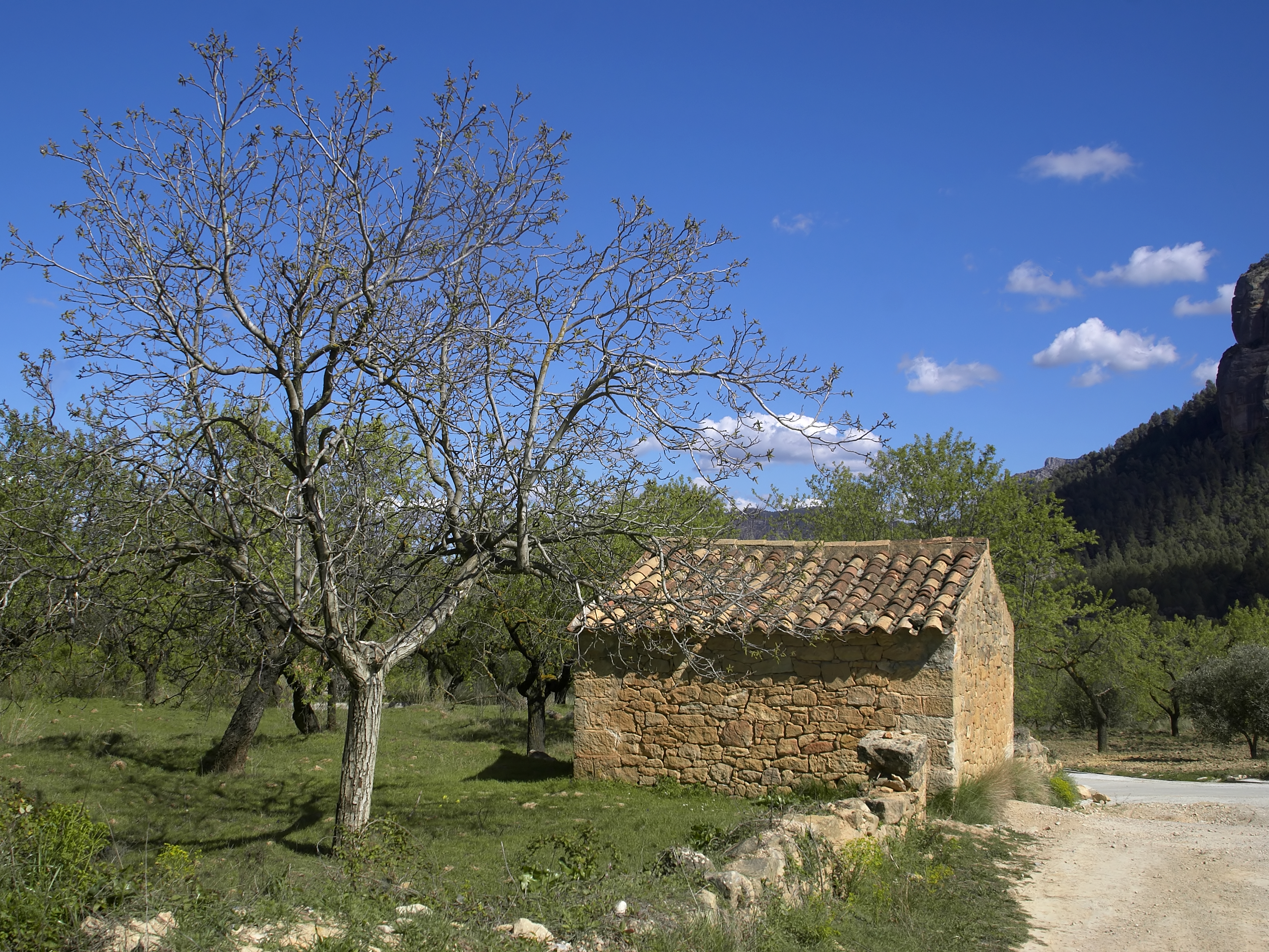 Horta de San Juan - shed
