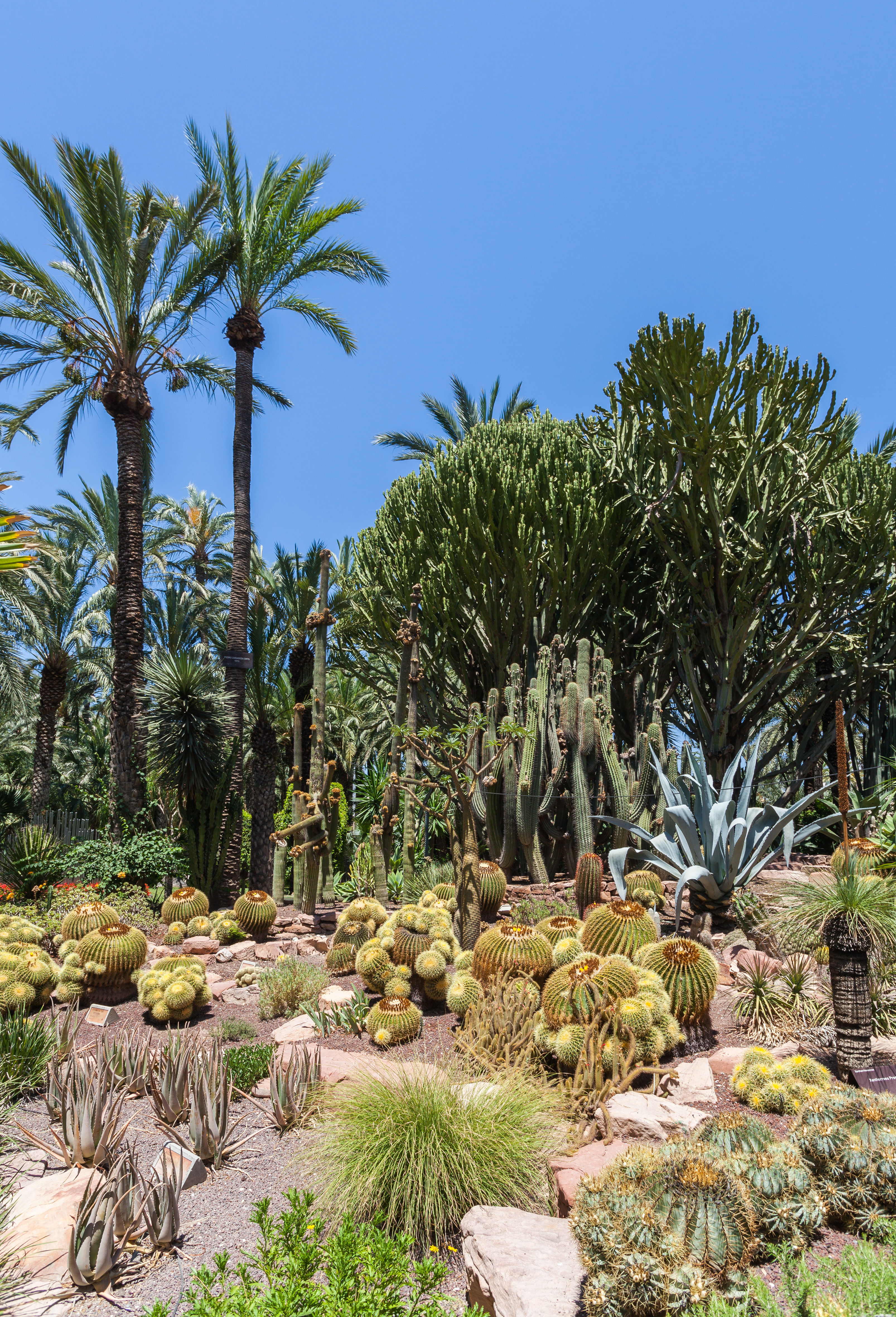 Huerto del Cura, Elche, España, 2014-07-05, DD 33