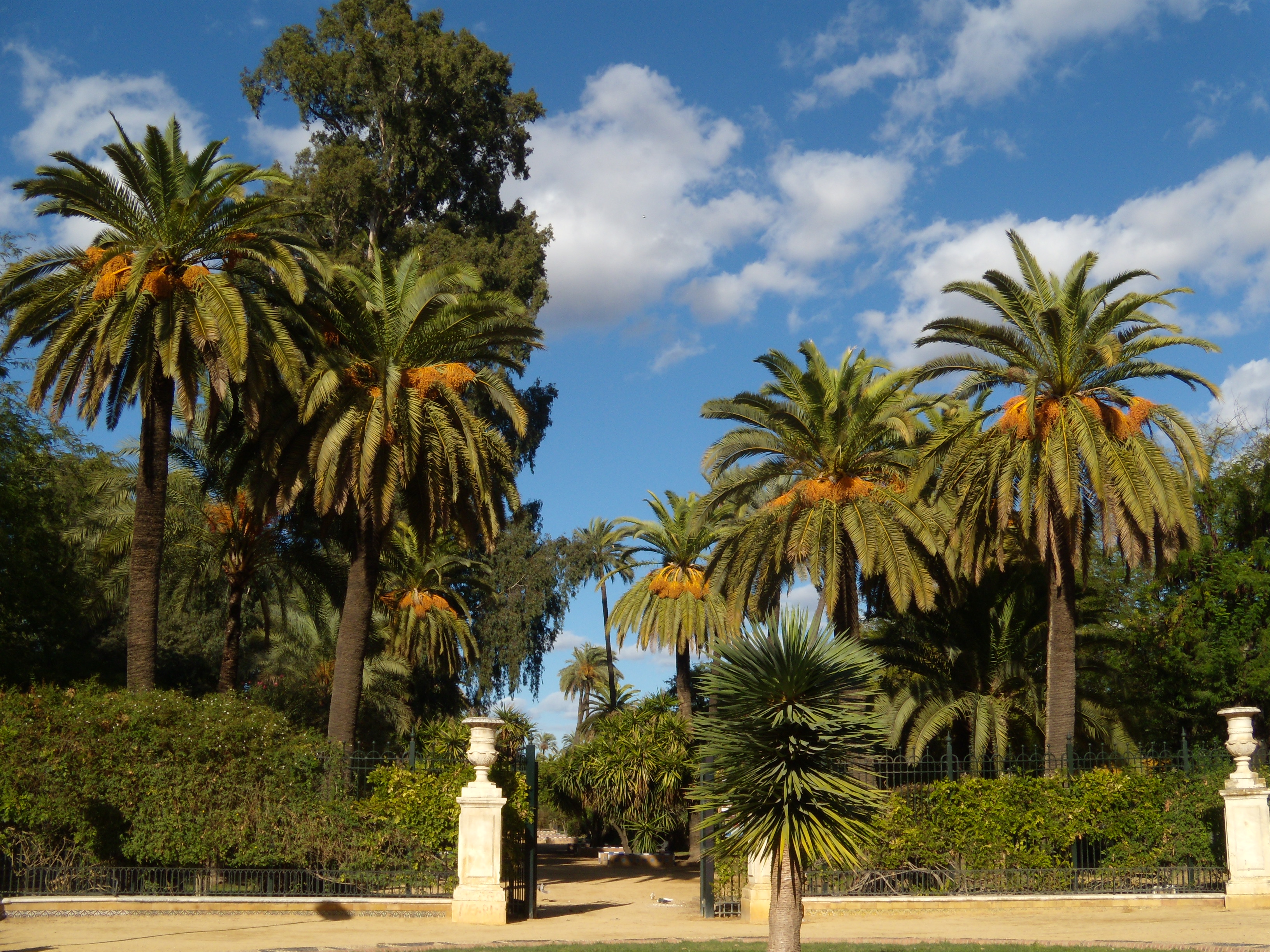 Jardines de Murillo 1