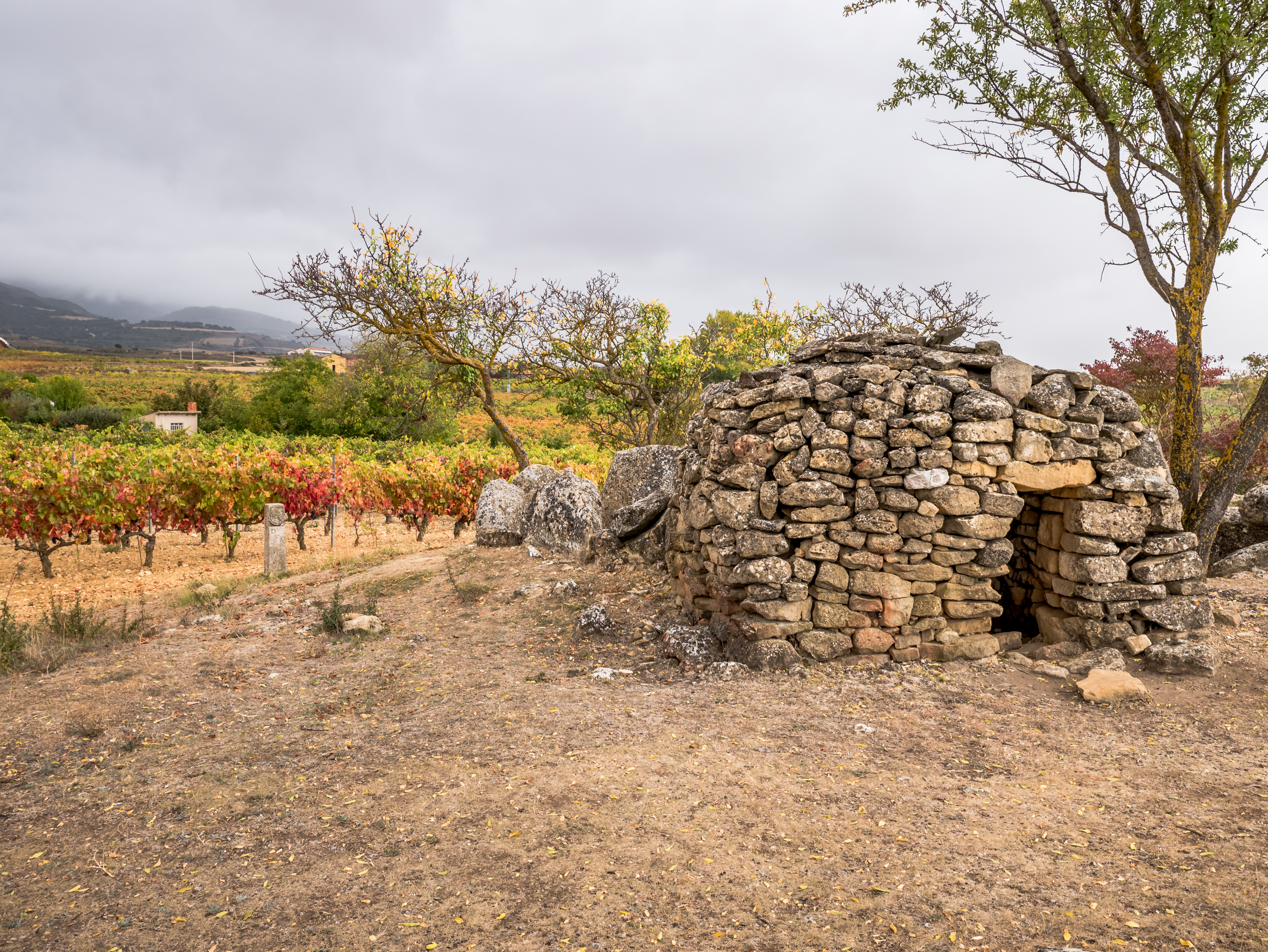 Laguardia - Dolmen San Martín 03