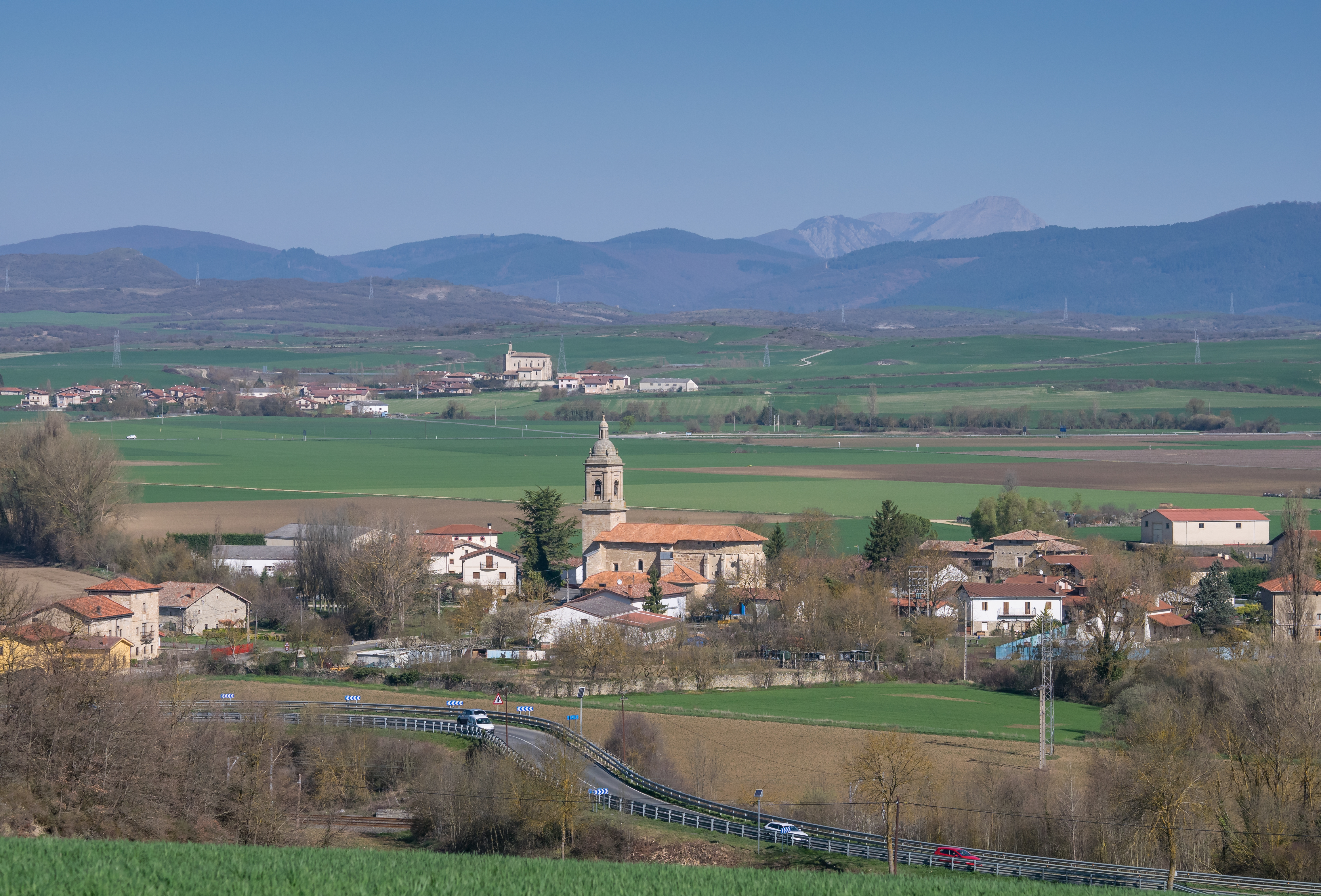 Oreitia 01