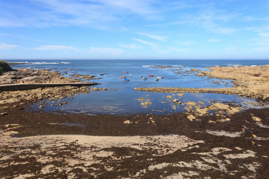 2014. Peirao en Oia. Galiza O-07