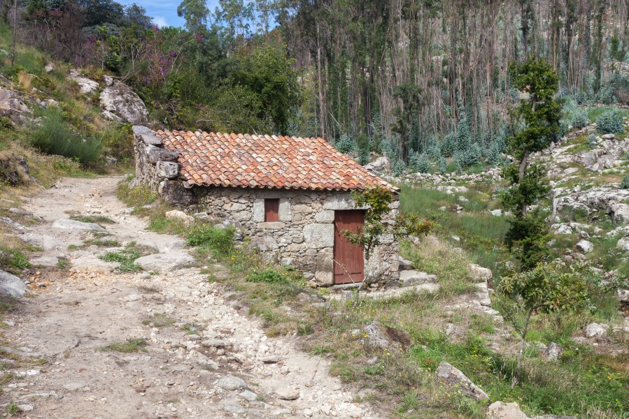 2014 Muíño do Folón. O Rosal. Galiza-1