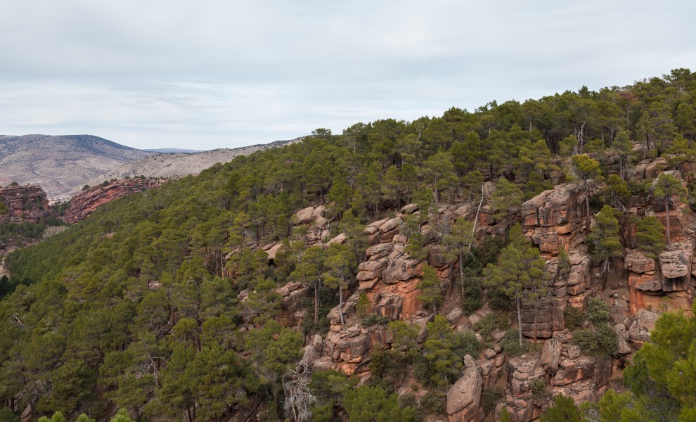 Albarracín, Teruel, España, 2014-01-10, DD 150