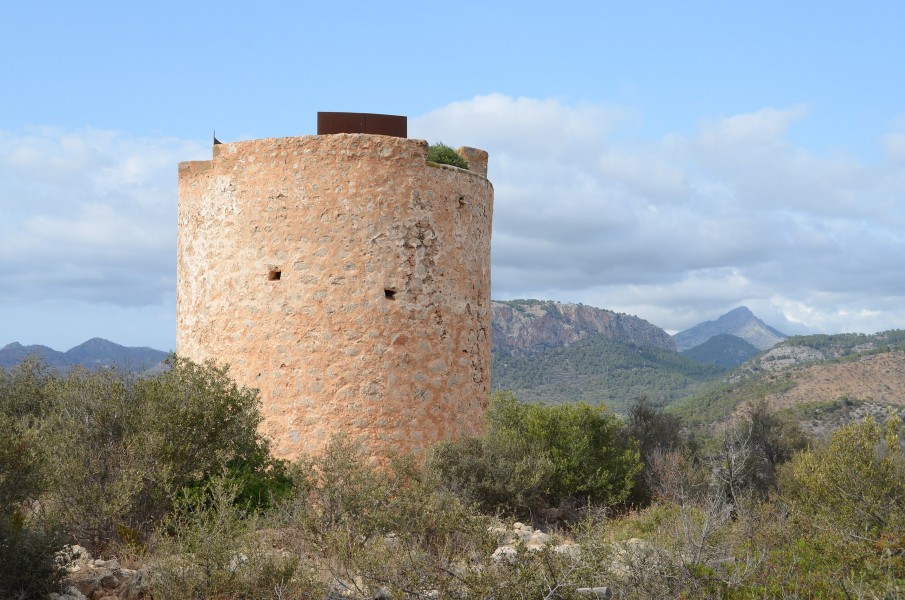 Andratx, Torre de Cap Andritxol, 2013-08 CN-03