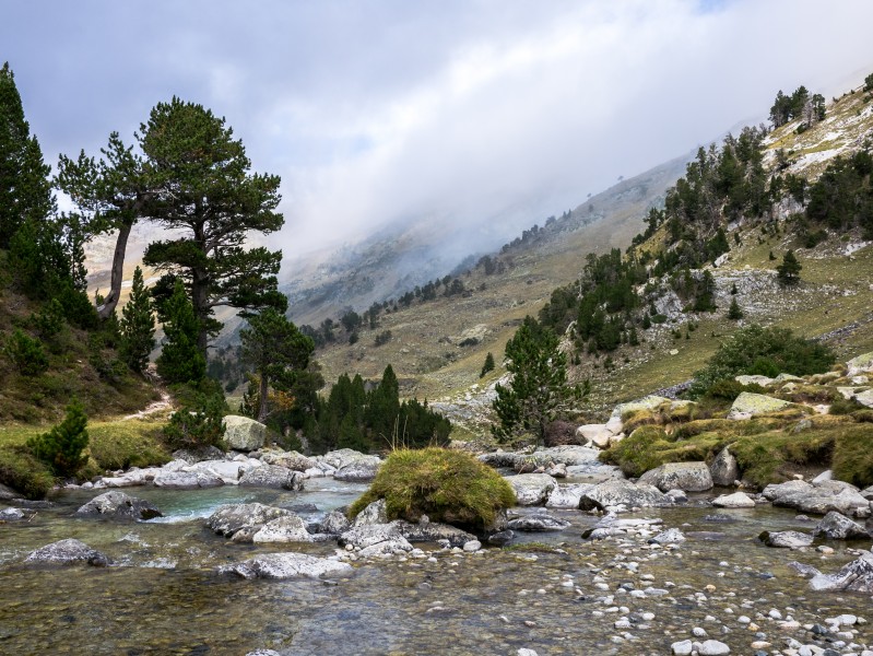 Benasque - Aigualluts - Llano 01