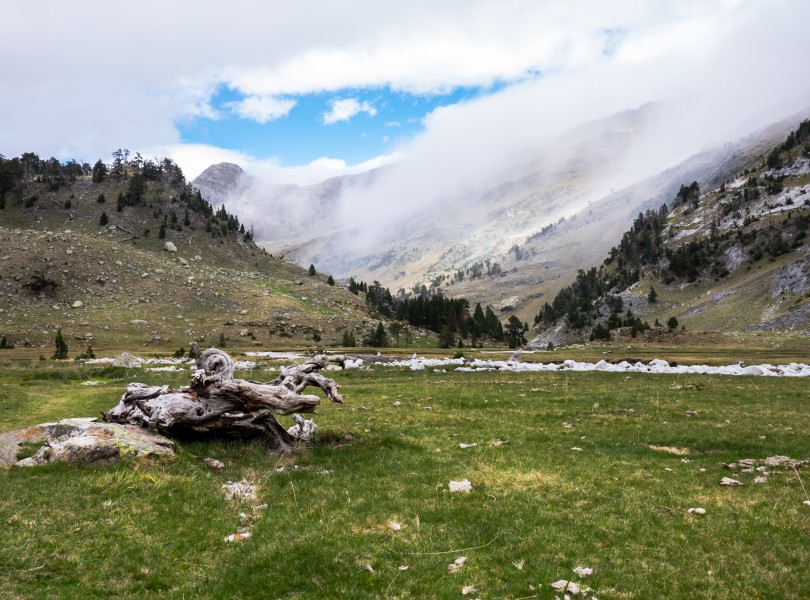 Benasque - Aigualluts - Llano 07