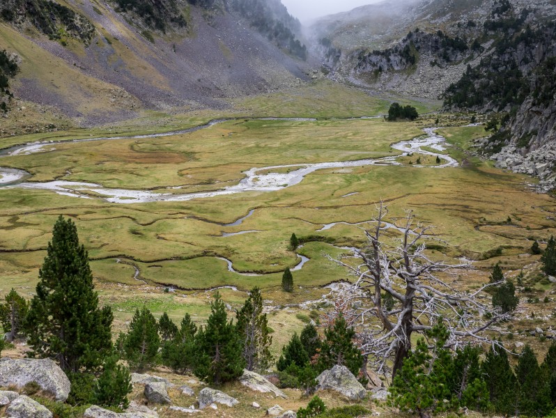 Benasque - Aigualluts - Llano 10