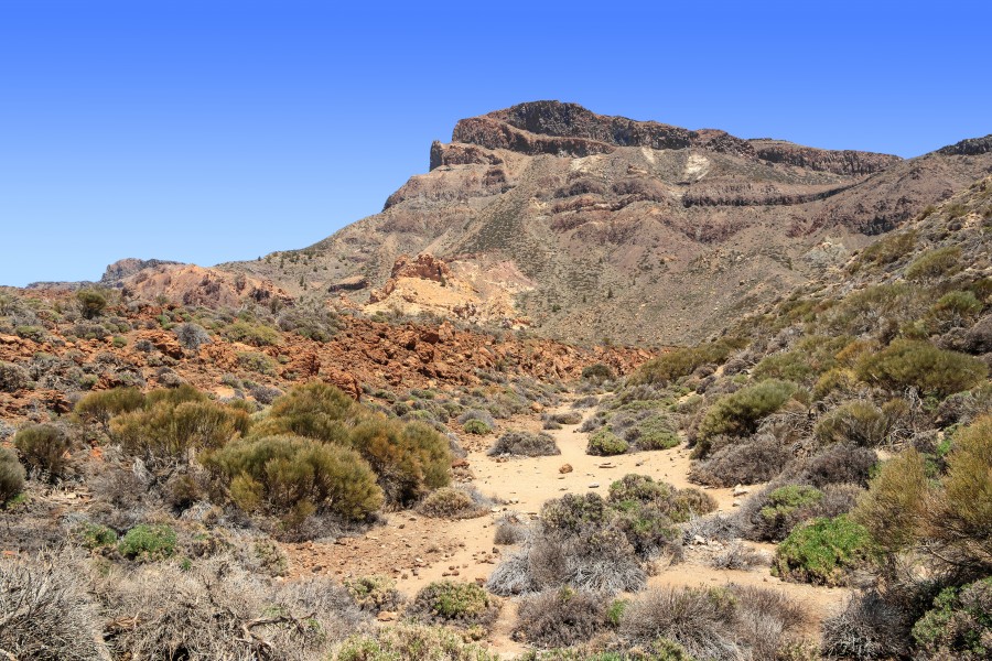 Caldera de las Cañadas 05