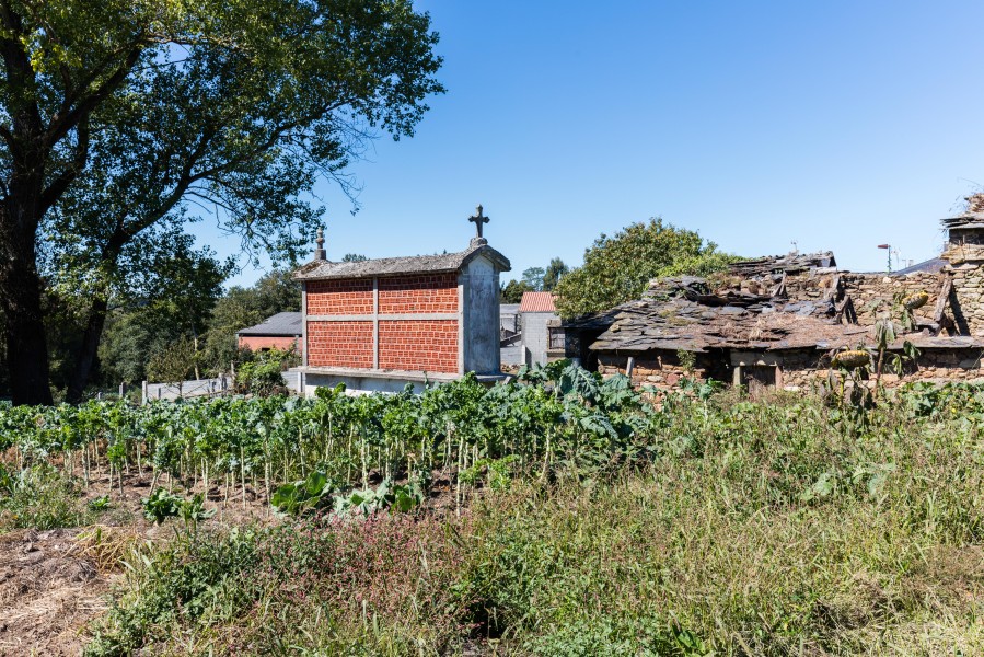Camino de Santiago, Lugo, España, 2015-09-20, DD 25