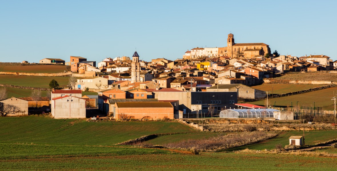 Campillo de Aragón, Zaragoza, España, 2016-01-05, DD 07