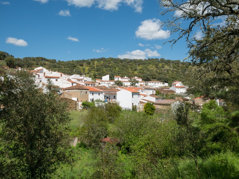 Castañuelo 02