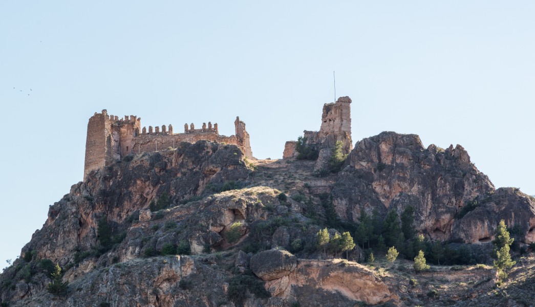 Castillo, Arándiga, Zaragoza, España, 2017-05-24, DD 04