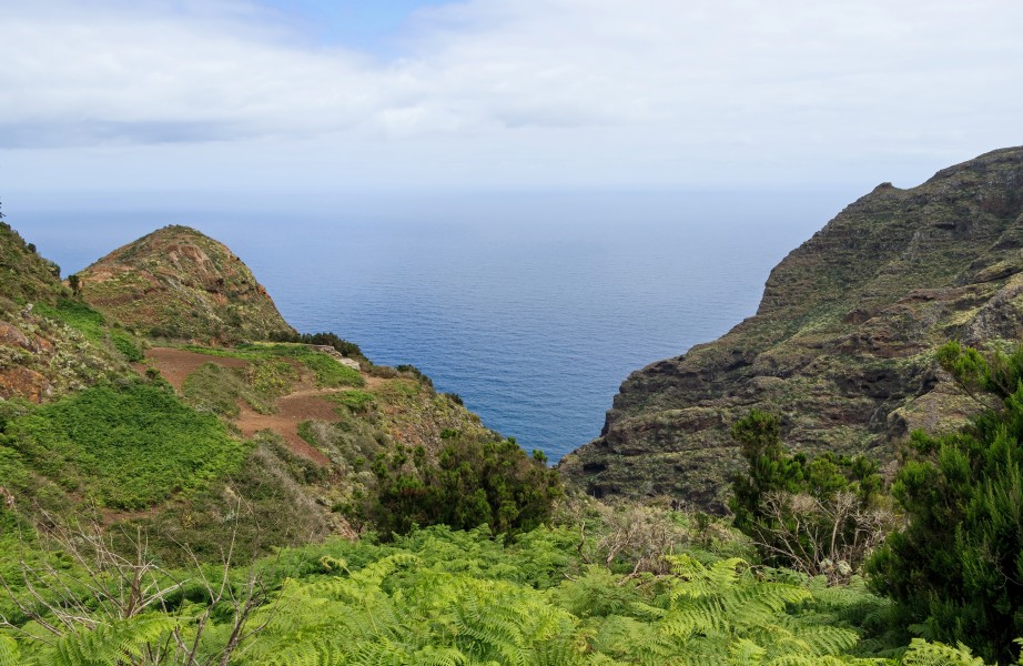 Chinamada - Tenerife 01