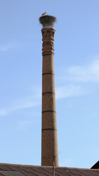 Cigüeñas sobre la chimenea de la antigua azucarera, Calatayud, España5