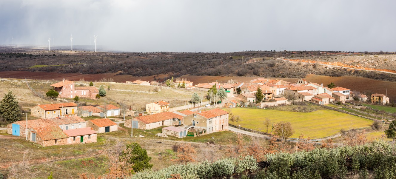 Ciruelos del Pinar, Guadalajara, España, 2016-01-05, DD 33
