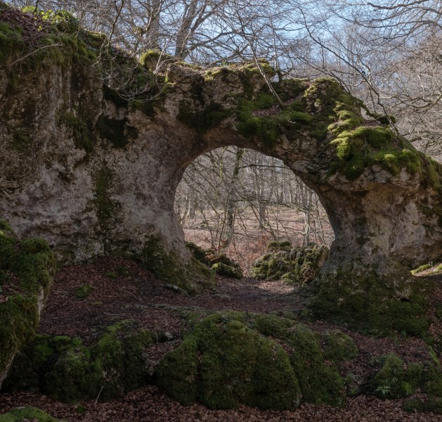 Entzia - Arco de Zalanportillo 01
