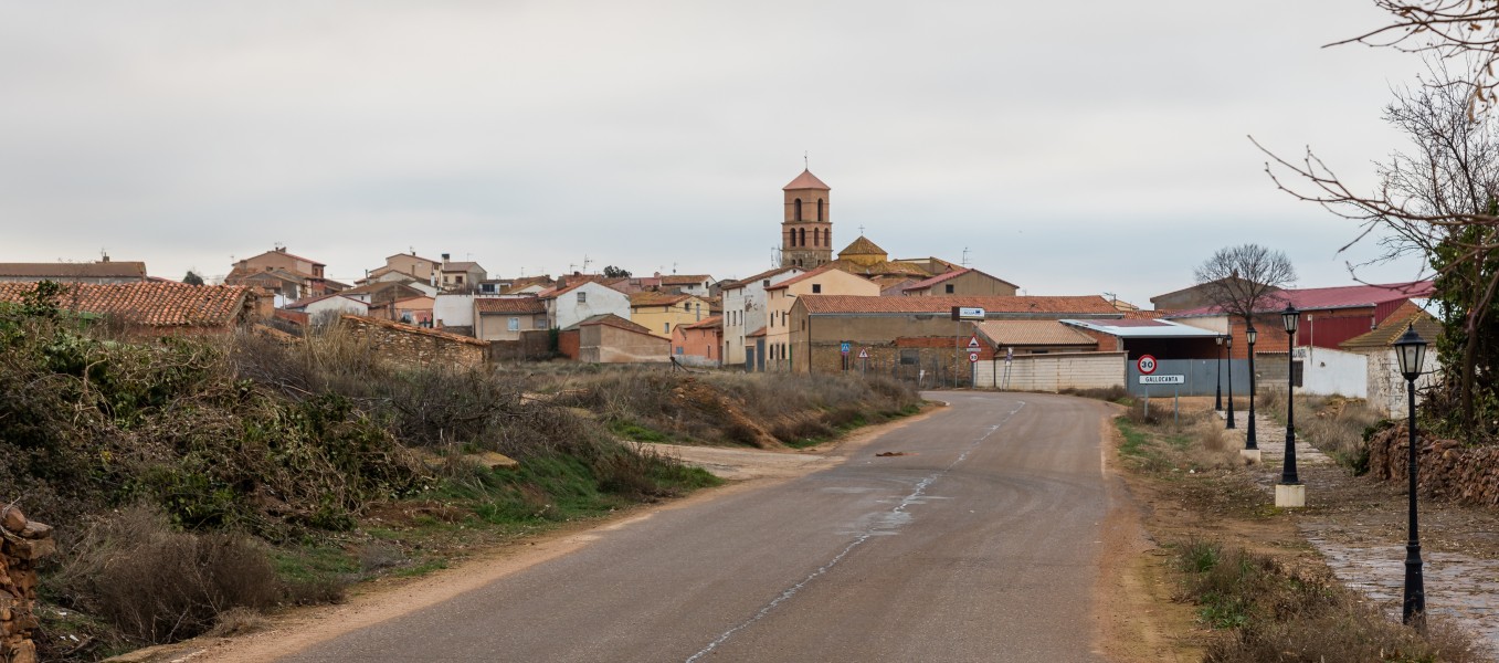 Gallocanta, Zaragoza, España, 2017-01-04, DD 10