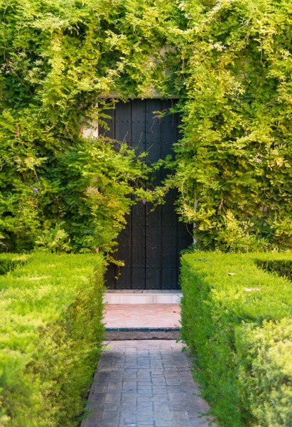Green door alcazar Seville Andalusia Spain