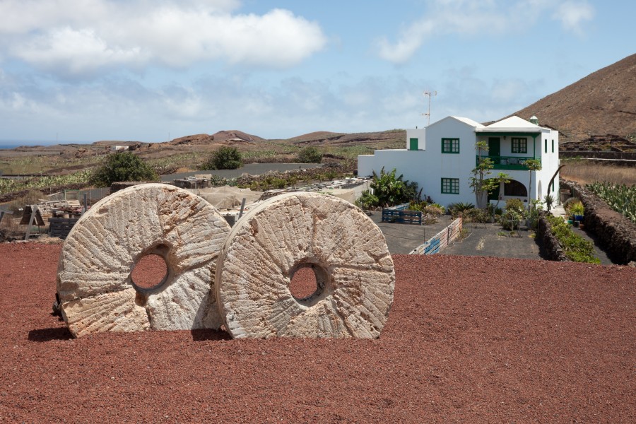 Guatiza - Lanzarote - J24