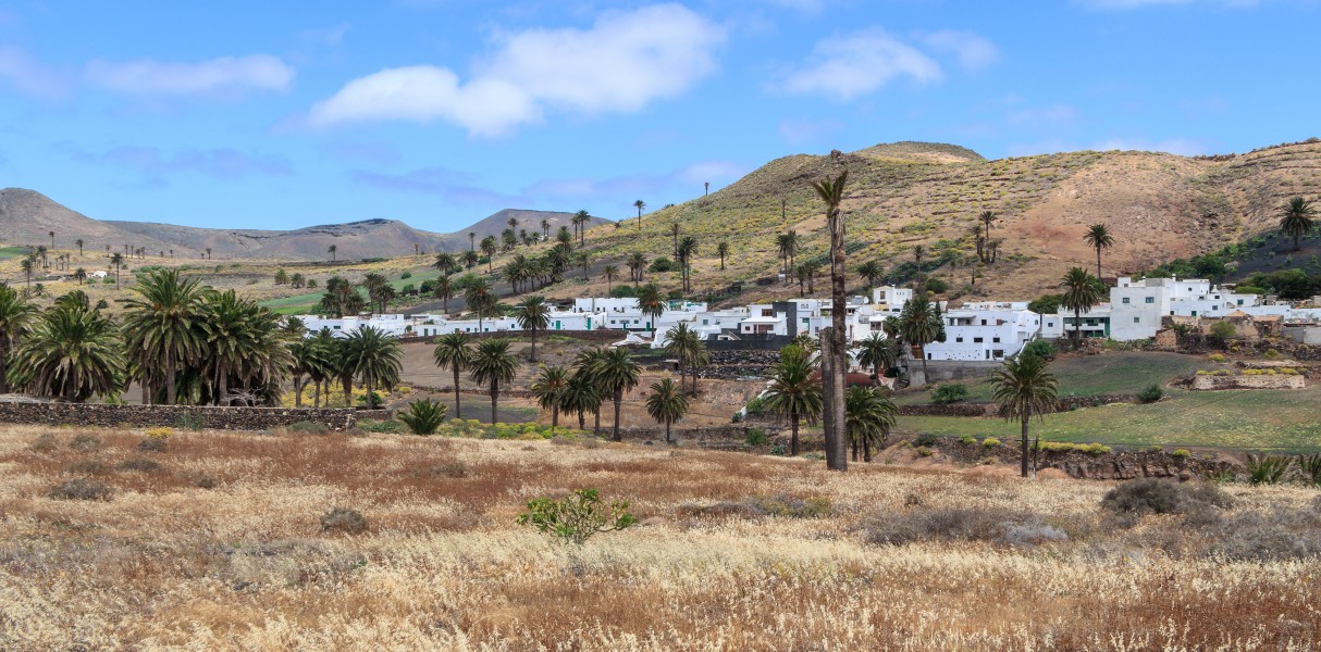 Haria - Lanzarote 01