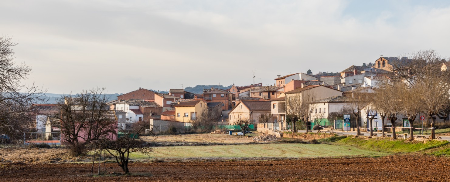 Henche, Guadalajara, España, 2017-01-03, DD 16