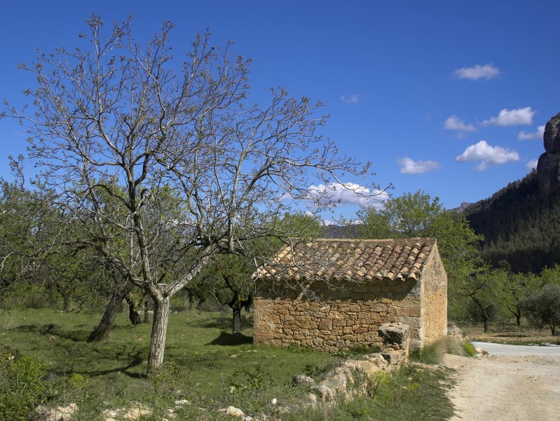 Horta de San Juan - shed