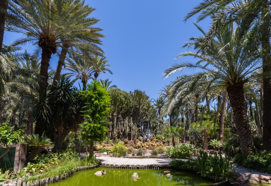 Huerto del Cura, Elche, España, 2014-07-05, DD 25