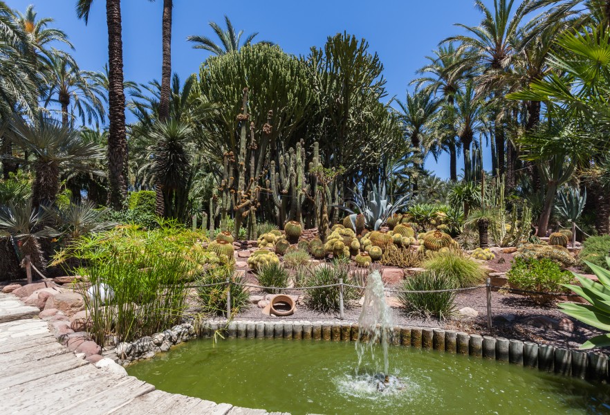 Huerto del Cura, Elche, España, 2014-07-05, DD 26