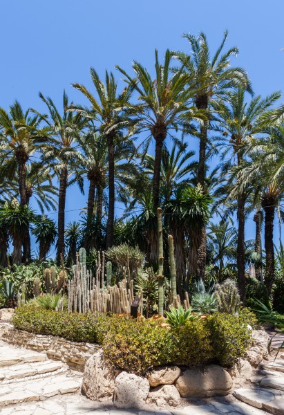 Huerto del Cura, Elche, España, 2014-07-05, DD 31