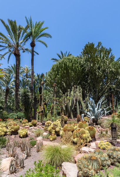 Huerto del Cura, Elche, España, 2014-07-05, DD 33